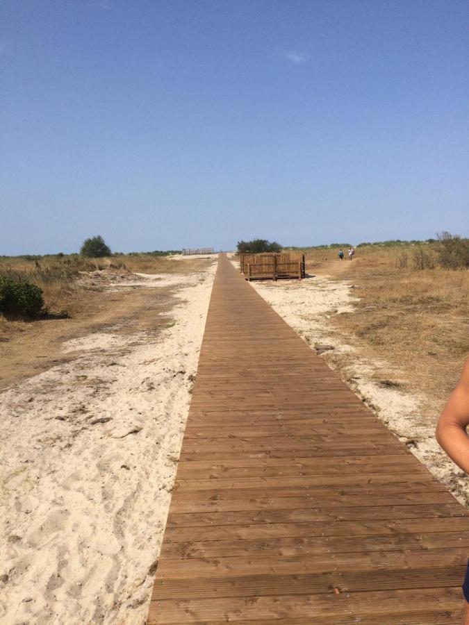 Nordseeinsel โฮร์มาร์เซียล ภายนอก รูปภาพ